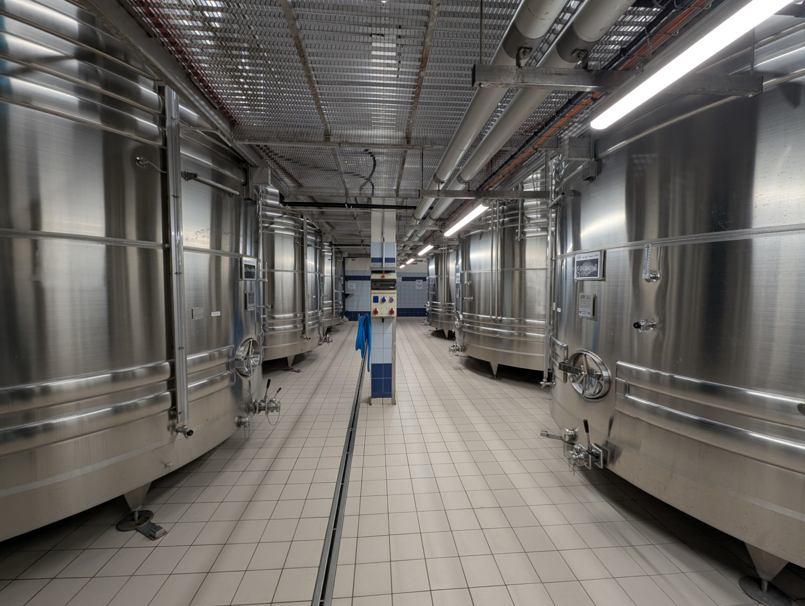 Fermentation en cuves inox