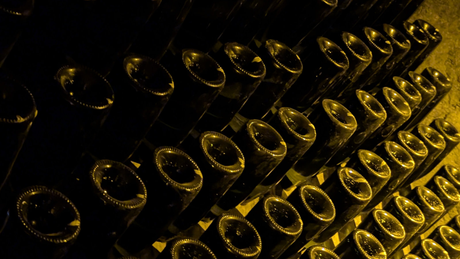 Bouteilles en fin de remuage