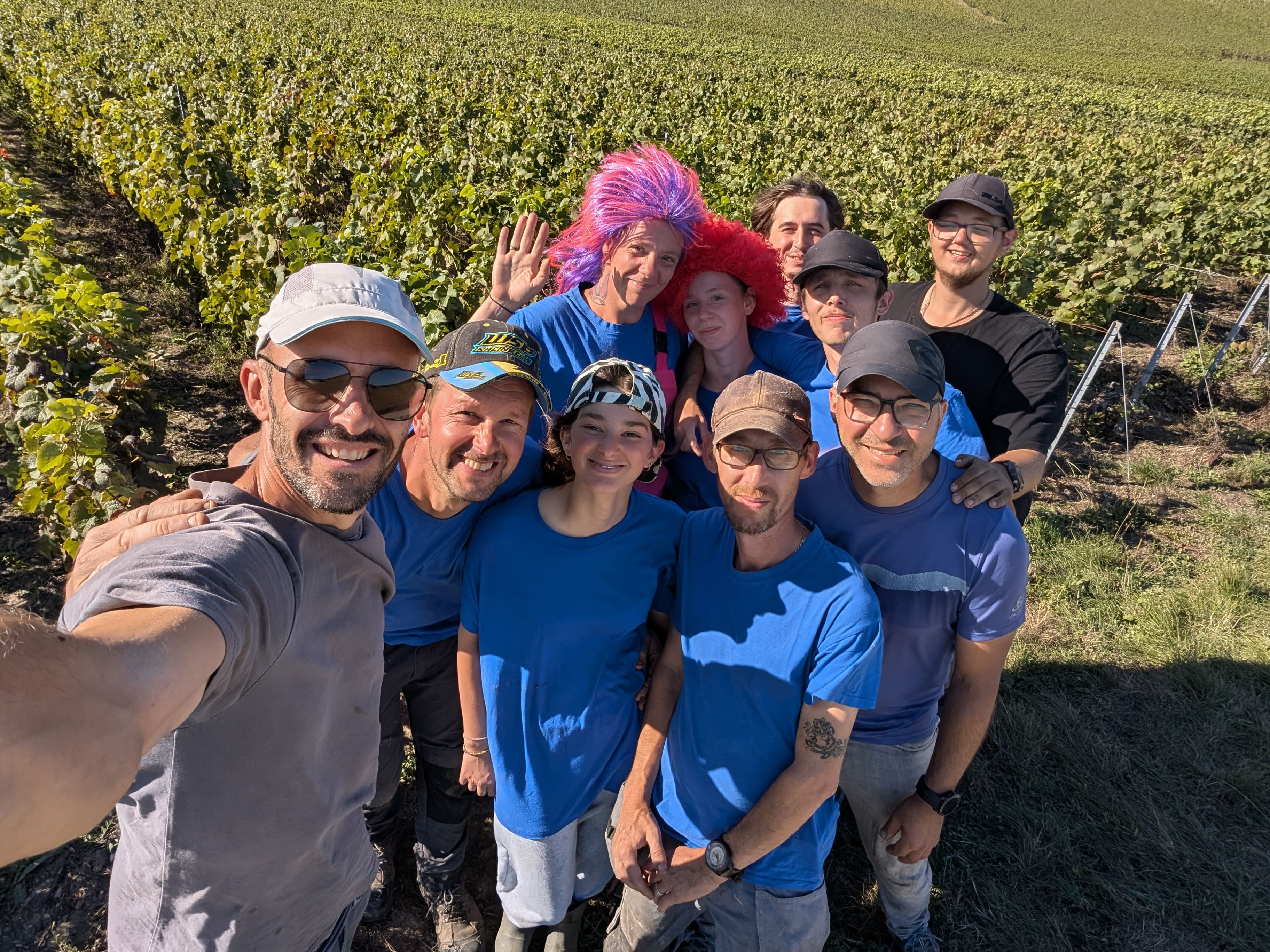 Vendange Sirot en 2024