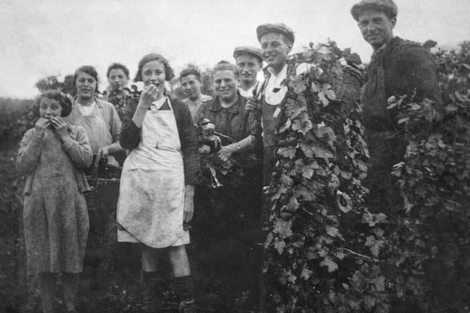 Vendange Sirot à Charly-sur-Marne en 1935